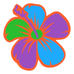 A colorful flower is shown on the black background.